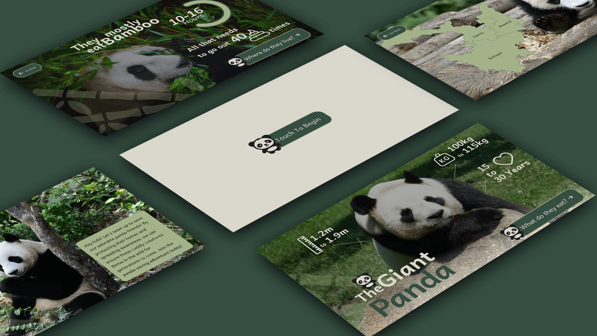 mockup of panda_kiosk